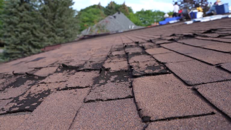 Fast & Reliable Emergency Roof Repairs in Wailea, HI